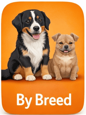 dog names by breed icon