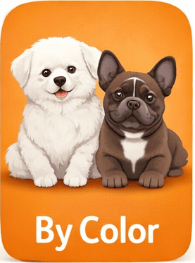 dog names by color icon